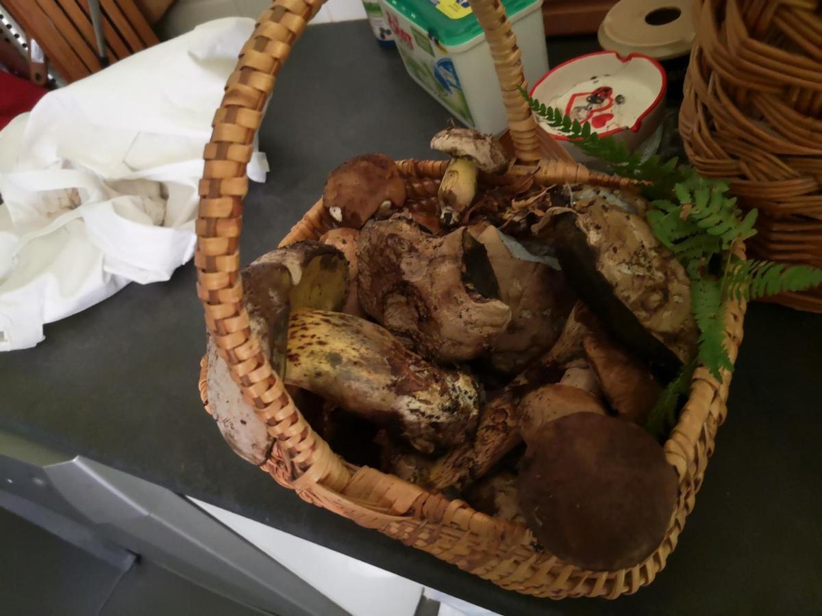 Chambres D'Hotes La Terrasse D'Argein Εξωτερικό φωτογραφία